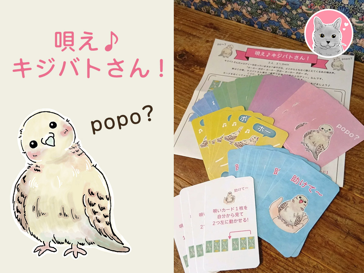 唄え♪キジバトさん！